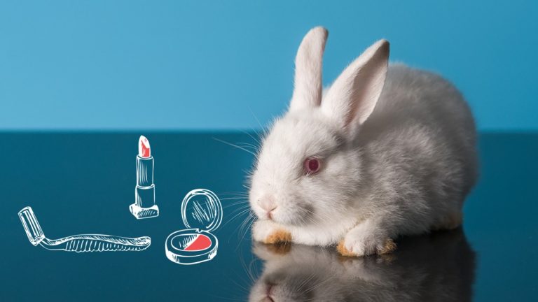 Тестування косметики на тваринах: реалії 2026 року та етичні шляхи