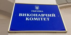 Виконавчий орган це: визначення, види та функції в Україні