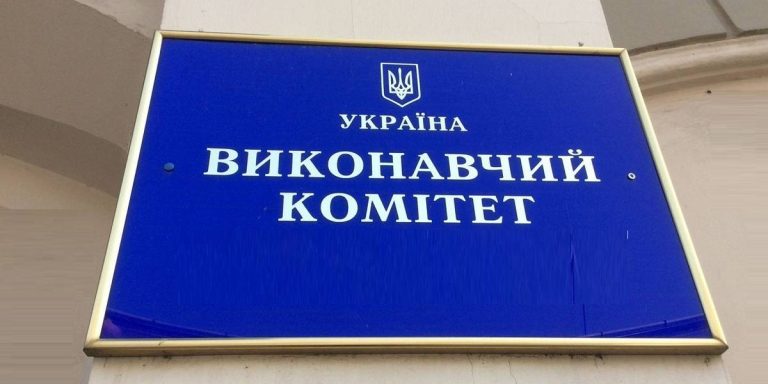 Виконавчий орган це: визначення, види та функції в Україні
