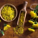 Чи можна їсти кульбабу: користь, ризики й рецепти