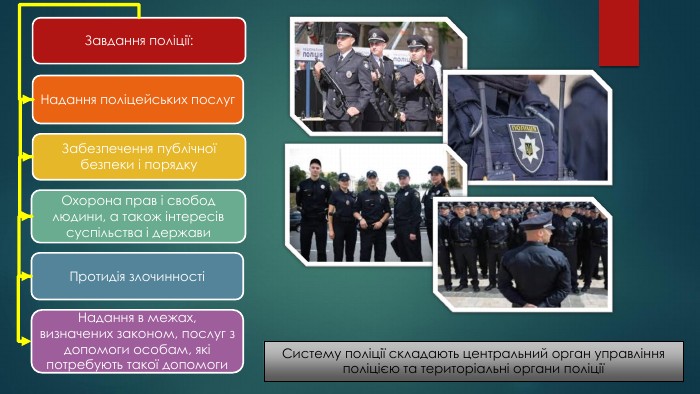Територіальні органи поліції: статус, рівні і звернення